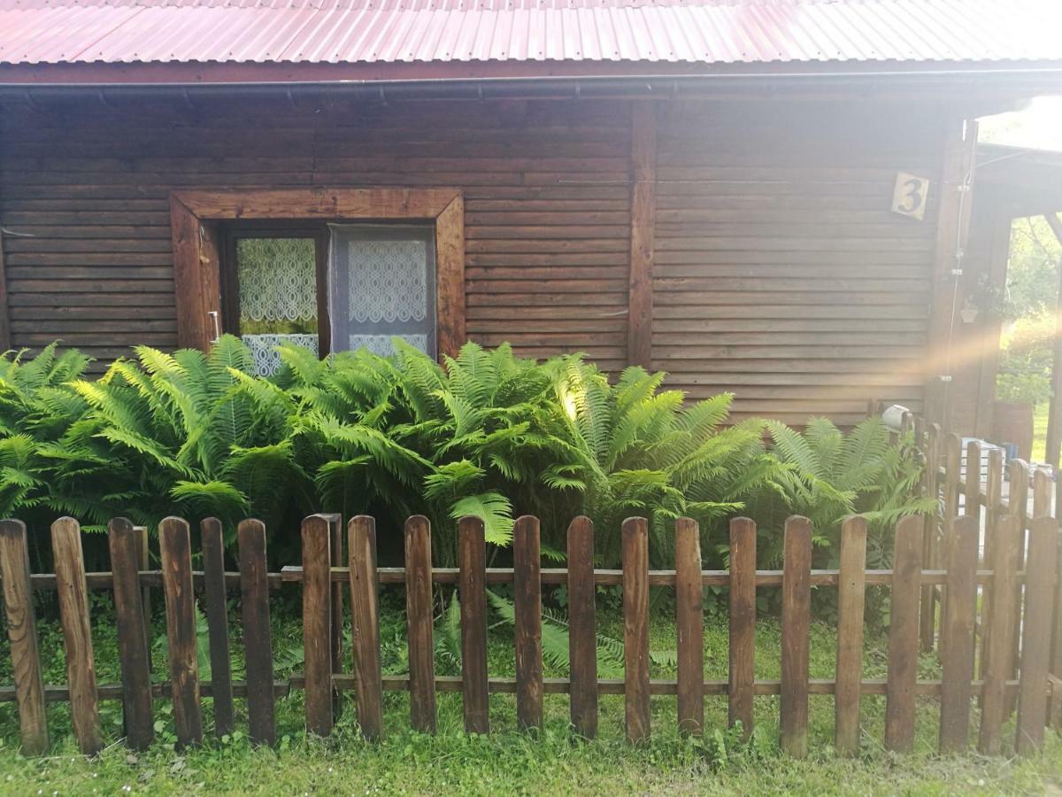 Villa Bieszczadzki Zakatek :-) à Skorodne Extérieur photo